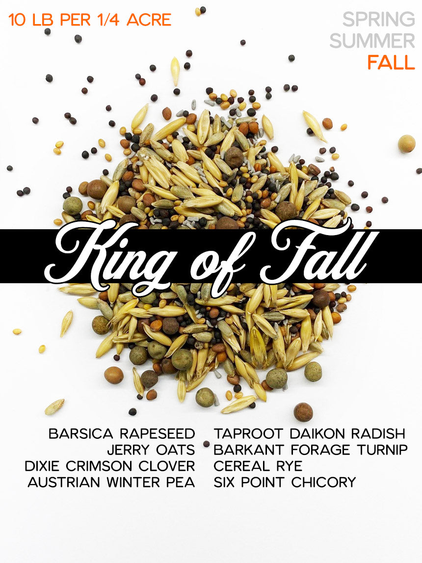 King of Fall
