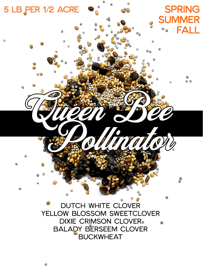 Queen Bee Polinators
