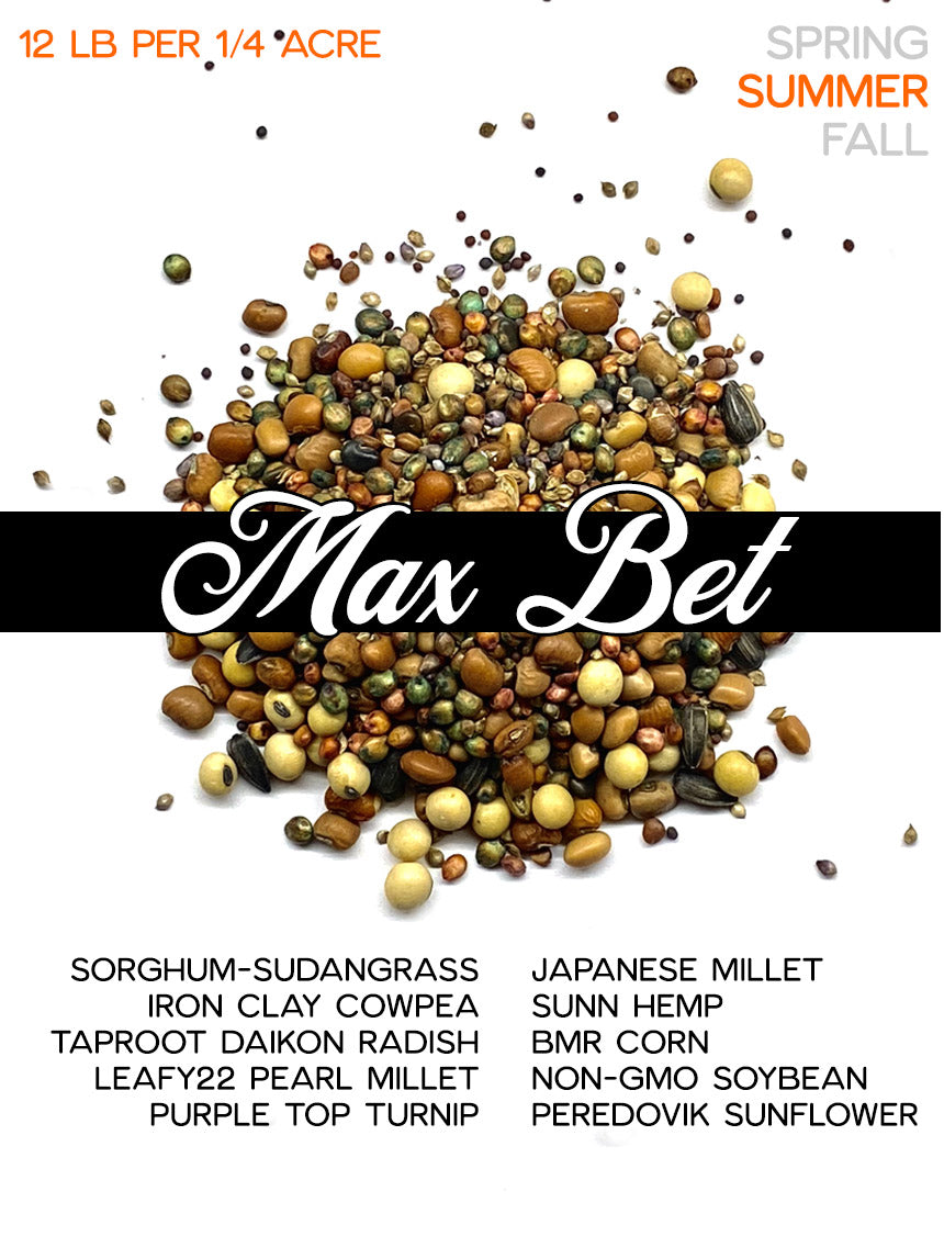 Max Bet